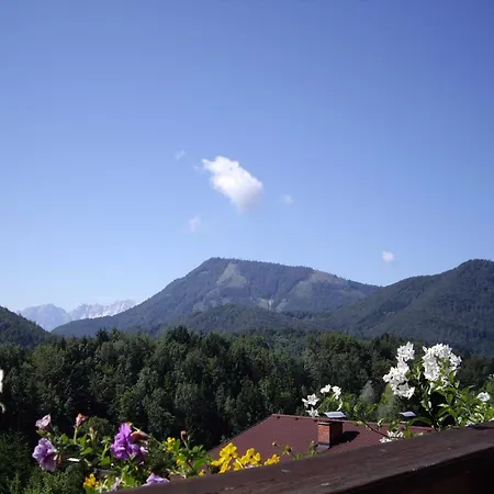 Angela Siedl Appartement