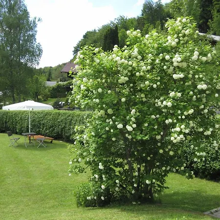 Appartement Angela Siedl