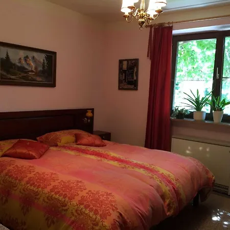 Angela Siedl Appartement Ebenau