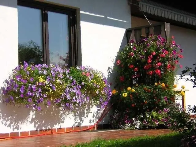 Angela Siedl Apartamento *