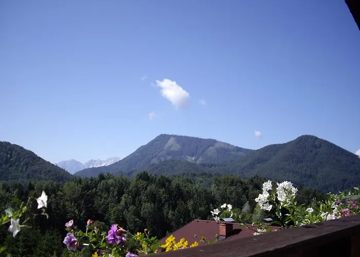 Angela Siedl Apartamento