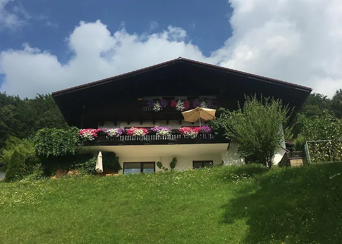Angela Siedl Apartamento